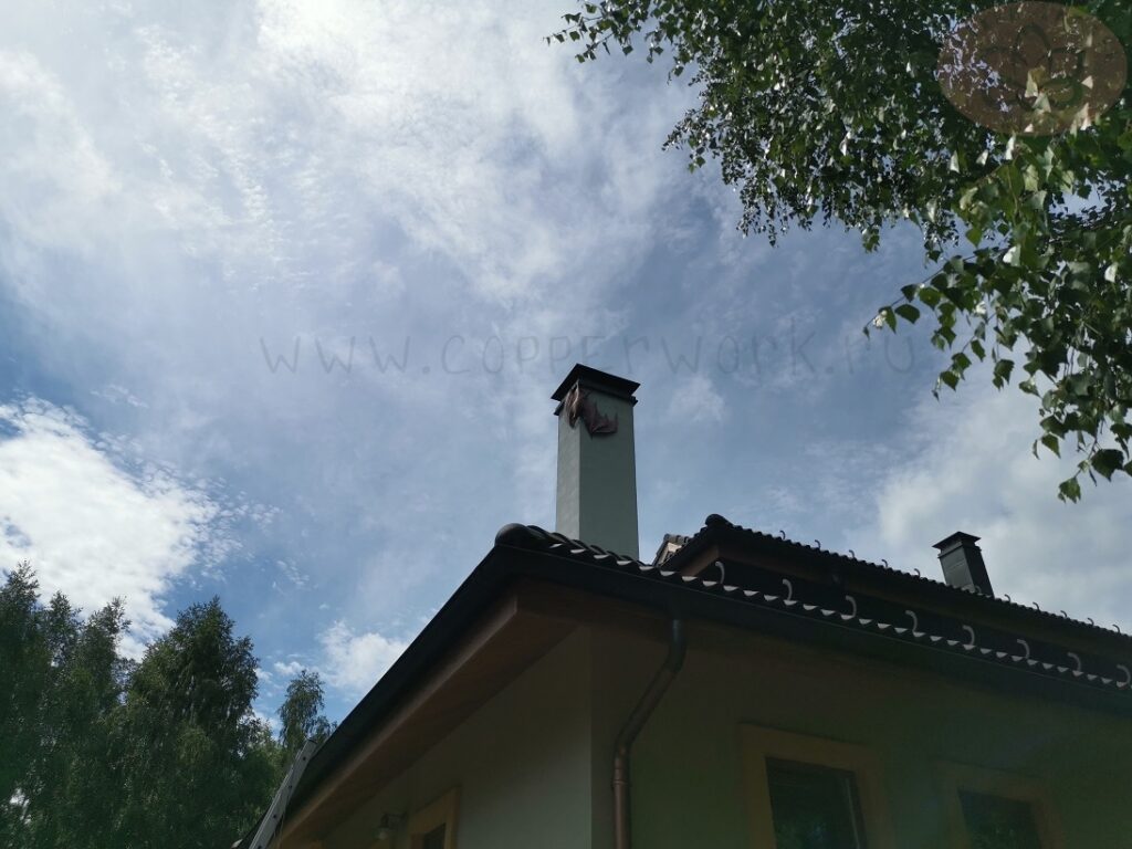 Летучая мышь на трубу